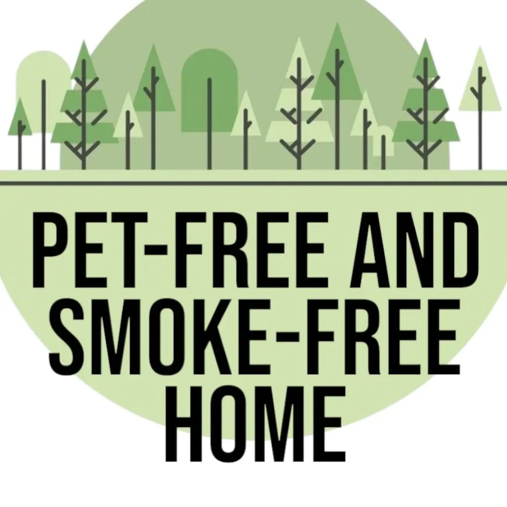 NEW KiwiCo. Kiwi Co. Pegboard Games Puzzles Travel Board Games Case Party Deskto - Picture 14 of 15